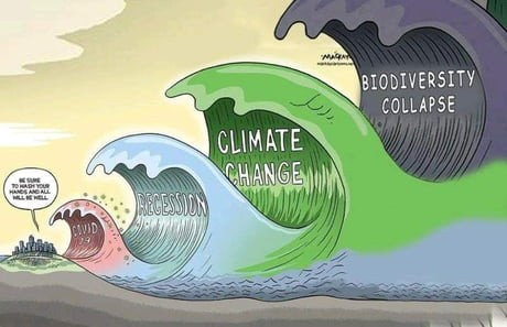climate change, biodiversity collapse, covid-19, recession