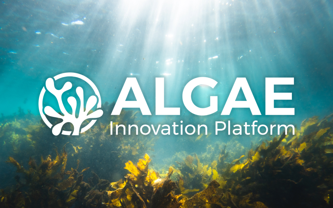 Algae Innovation Platform Header