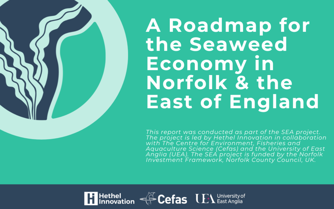 A Roadmap for Driving the Seaweed Economy in the East of England
